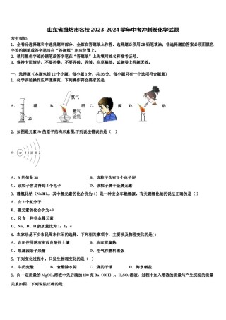 山东省潍坊市名校2023-2024学年中考冲刺卷化学试题含解析.doc