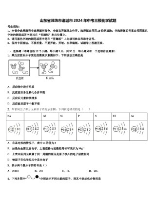 山东省潍坊市诸城市2024年中考三模化学试题含解析.doc