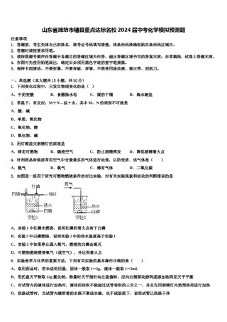 山东省潍坊市辖县重点达标名校2024届中考化学模拟预测题含解析.doc