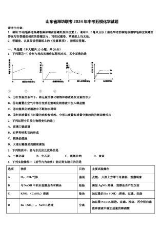 山东省潍坊联考2024年中考五模化学试题含解析.doc