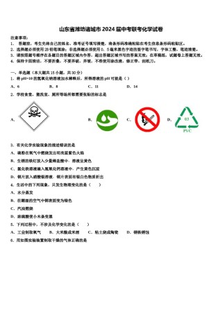 山东省潍坊诸城市2024届中考联考化学试卷含解析.doc