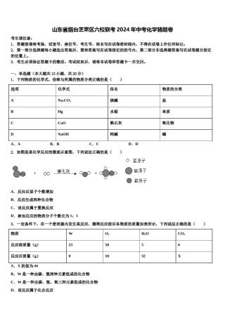山东省烟台芝罘区六校联考2024年中考化学猜题卷含解析.doc