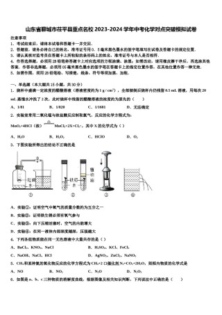 山东省聊城市茌平县重点名校2023-2024学年中考化学对点突破模拟试卷含解析.doc