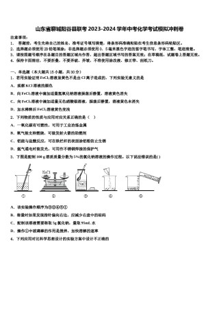 山东省聊城阳谷县联考2023-2024学年中考化学考试模拟冲刺卷含解析.doc