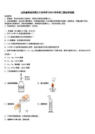 山东省荣成市第三十五中学2024年中考二模化学试题含解析.doc