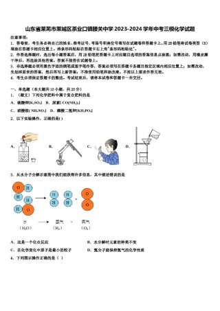 山东省莱芜市莱城区茶业口镇腰关中学2023-2024学年中考三模化学试题含解析.doc