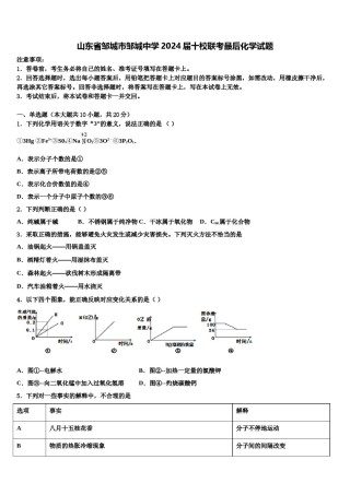 山东省邹城市邹城中学2024届十校联考最后化学试题含解析.doc