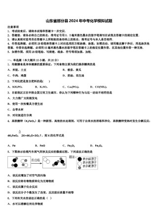 山东省部分县2024年中考化学模拟试题含解析.doc