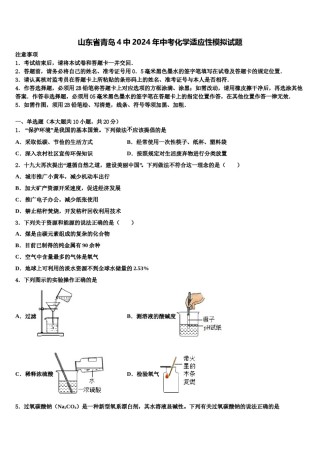 山东省青岛4中2024年中考化学适应性模拟试题含解析.doc