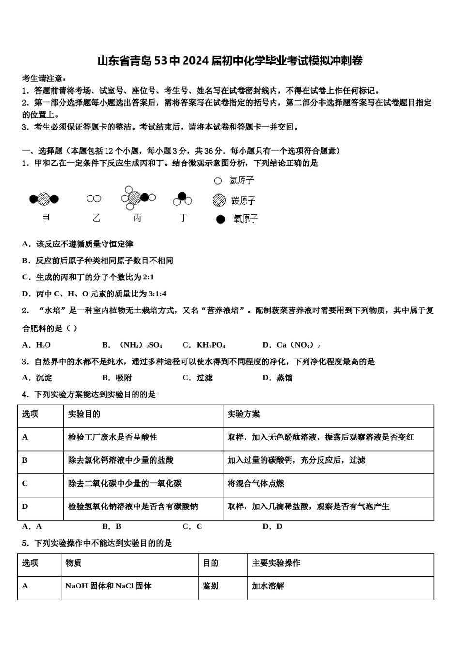 山东省青岛53中2024届初中化学毕业考试模拟冲刺卷含解析.doc_第1页