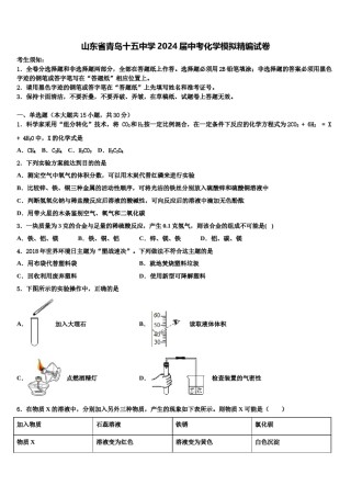 山东省青岛十五中学2024届中考化学模拟精编试卷含解析.doc