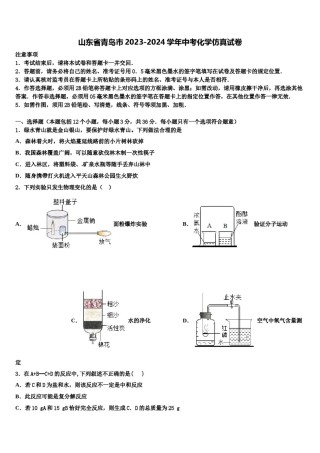山东省青岛市2023-2024学年中考化学仿真试卷含解析.doc