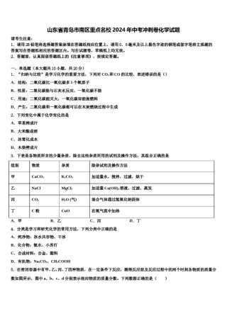 山东省青岛市南区重点名校2024年中考冲刺卷化学试题含解析.doc