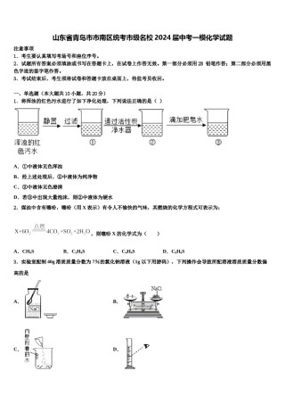 山东省青岛市市南区统考市级名校2024届中考一模化学试题含解析.doc