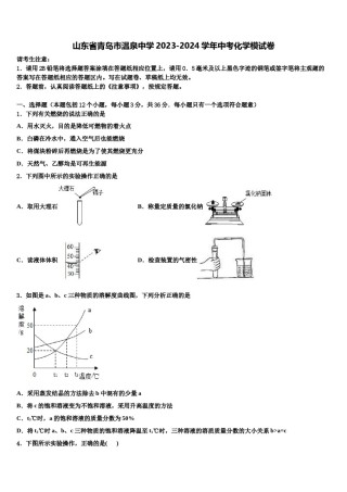 山东省青岛市温泉中学2023-2024学年中考化学模试卷含解析.doc