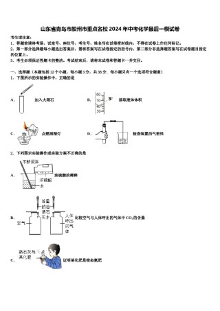 山东省青岛市胶州市重点名校2024年中考化学最后一模试卷含解析.doc