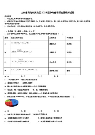 山东省青岛市黄岛区2024届中考化学适应性模拟试题含解析.doc
