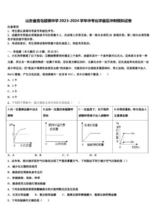 山东省青岛超银中学2023-2024学年中考化学最后冲刺模拟试卷含解析.doc