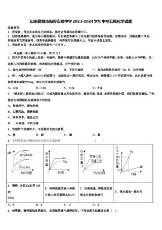 山东聊城市阳谷实验中学2023-2024学年中考五模化学试题含解析.doc