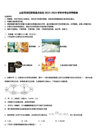 山东菏泽巨野县重点名校2023-2024学年中考化学押题卷含解析.doc