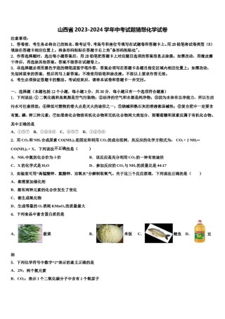 山西省2023-2024学年中考试题猜想化学试卷含解析.doc