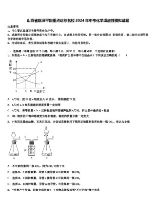 山西省临汾平阳重点达标名校2024年中考化学适应性模拟试题含解析.doc