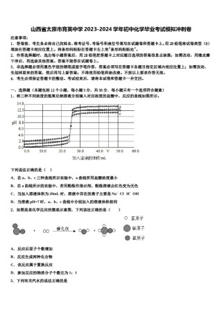 山西省太原市育英中学2023-2024学年初中化学毕业考试模拟冲刺卷含解析.doc