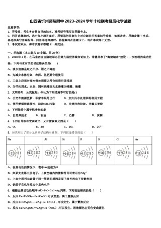 山西省忻州师院附中2023-2024学年十校联考最后化学试题含解析.doc