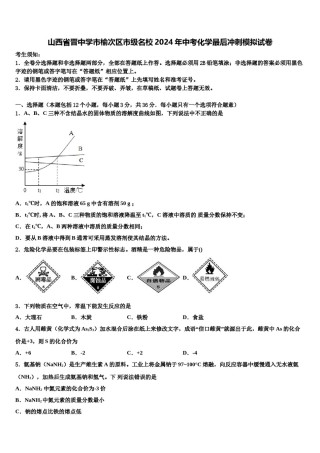 山西省晋中学市榆次区市级名校2024年中考化学最后冲刺模拟试卷含解析.doc