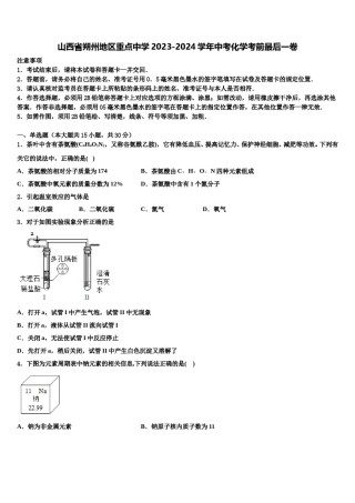 山西省朔州地区重点中学2023-2024学年中考化学考前最后一卷含解析.doc