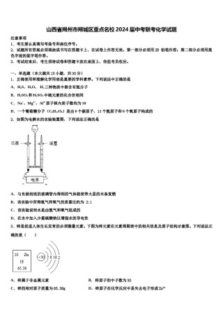 山西省朔州市朔城区重点名校2024届中考联考化学试题含解析.doc