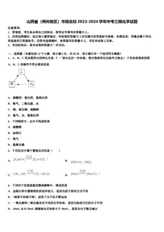 山西省（朔州地区）市级名校2023-2024学年中考三模化学试题含解析.doc