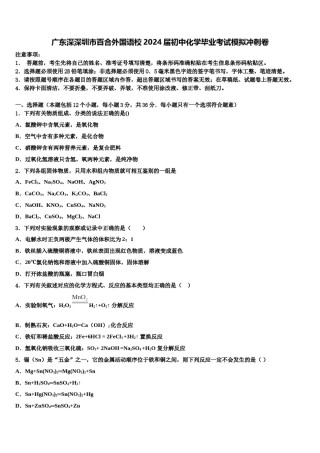广东深深圳市百合外国语校2024届初中化学毕业考试模拟冲刺卷含解析.doc