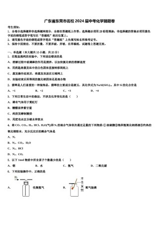广东省东莞市名校2024届中考化学猜题卷含解析.doc