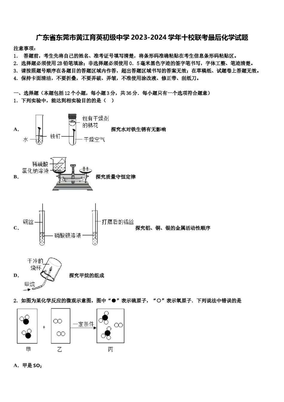 广东省东莞市黄江育英初级中学2023-2024学年十校联考最后化学试题含解析.doc_第1页