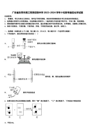 广东省东莞市黄江育英初级中学2023-2024学年十校联考最后化学试题含解析.doc