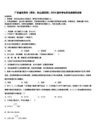 广东省东莞市（莞外、松山湖实验）2024届中考化学全真模拟试卷含解析.doc