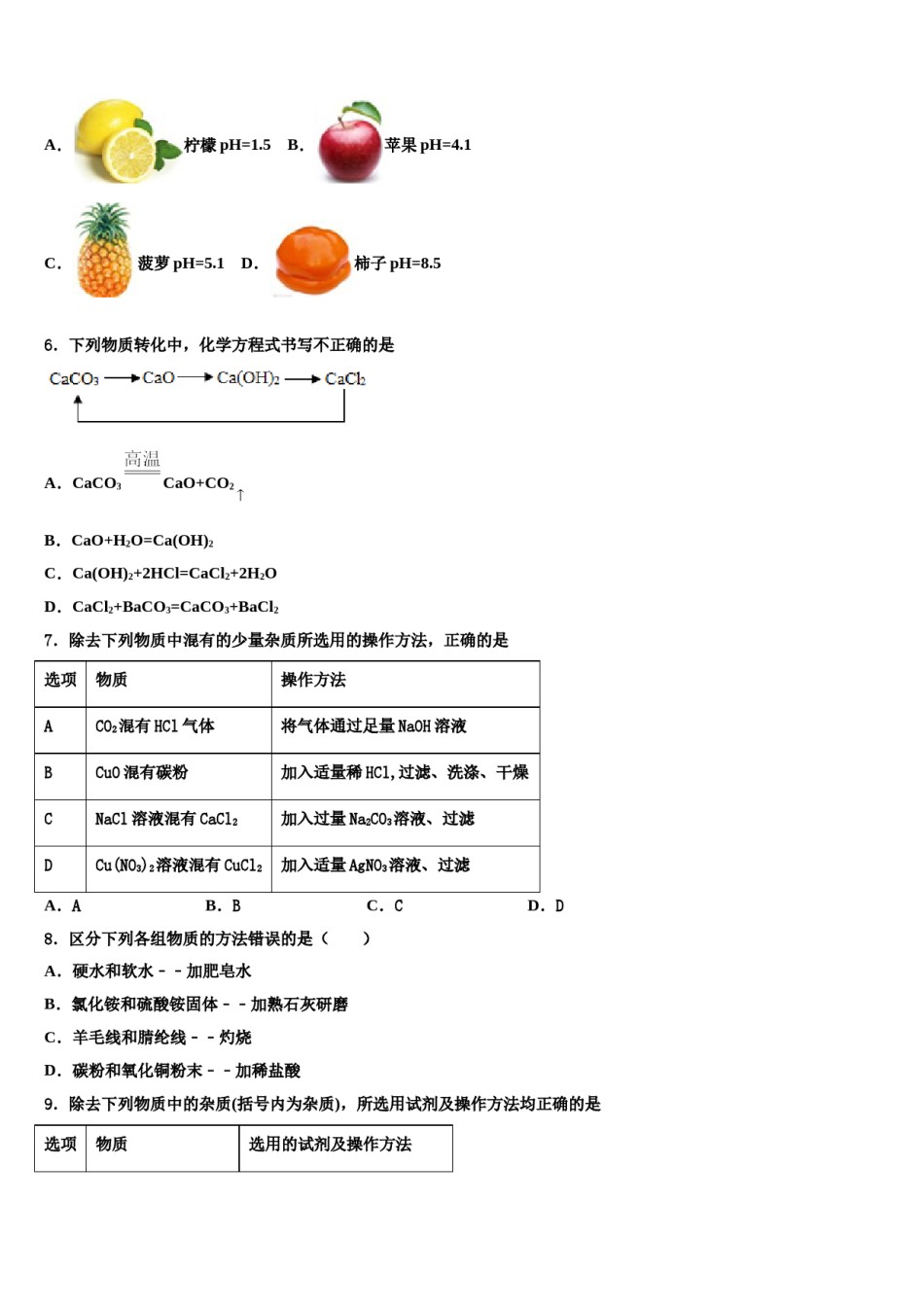 广东省中学山市中学山纪念中学2024年中考化学模拟试题含解析.doc_第2页