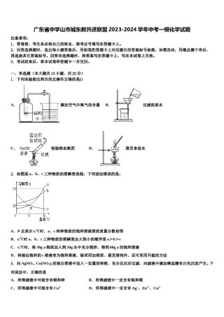 广东省中学山市城东教共进联盟2023-2024学年中考一模化学试题含解析.doc