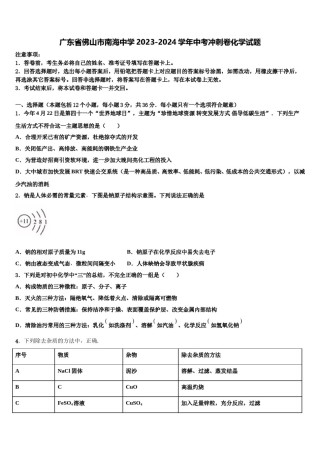 广东省佛山市南海中学2023-2024学年中考冲刺卷化学试题含解析.doc