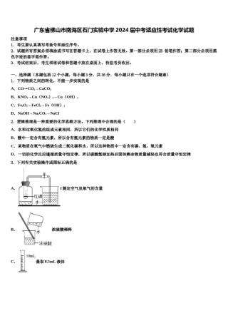 广东省佛山市南海区石门实验中学2024届中考适应性考试化学试题含解析.doc