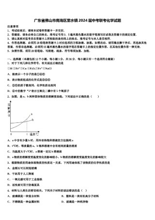 广东省佛山市南海区里水镇2024届中考联考化学试题含解析.doc