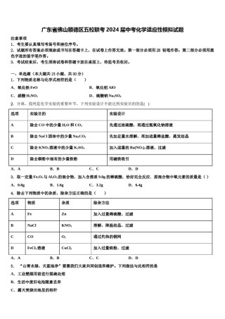 广东省佛山顺德区五校联考2024届中考化学适应性模拟试题含解析.doc