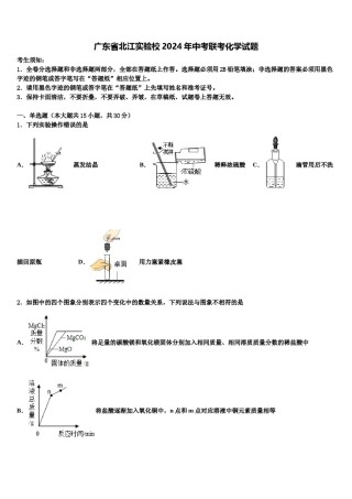 广东省北江实验校2024年中考联考化学试题含解析.doc