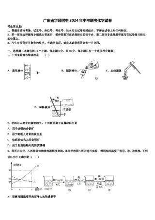 广东省华师附中2024年中考联考化学试卷含解析.doc