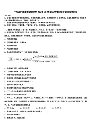 广东省广州市中学大附中2023-2024学年中考化学考试模拟冲刺卷含解析.doc