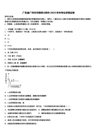 广东省广州市华南师大附中2024年中考化学模试卷含解析.doc