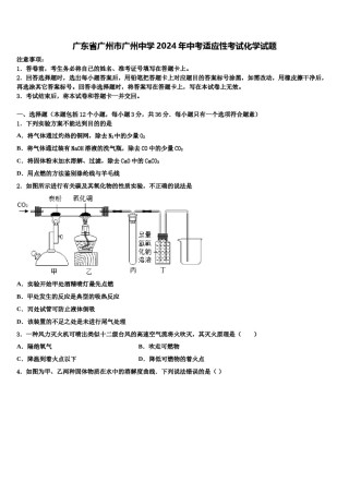 广东省广州市广州中学2024年中考适应性考试化学试题含解析.doc