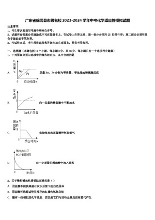广东省徐闻县市级名校2023-2024学年中考化学适应性模拟试题含解析.doc