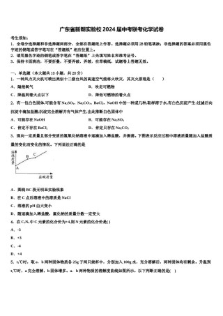 广东省新朗实验校2024届中考联考化学试卷含解析.doc
